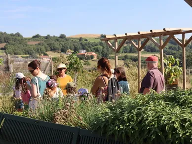 Découverte de la Ferme mielifique