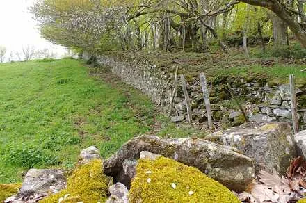 Conférence :  Les murs en pierres sèches, beauté et marqueurs de nos paysages