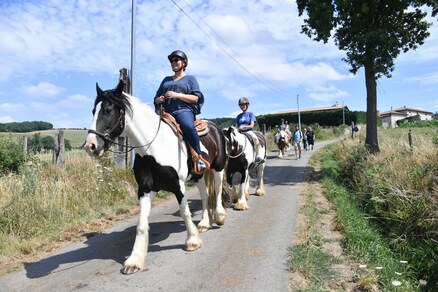 Balades à cheval et Médiation