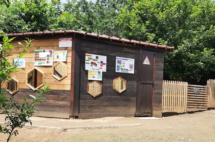Découverte du rucher et atelier bougie