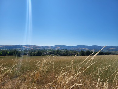 Balade à VTT électrique: Savigny coteaux et prairies