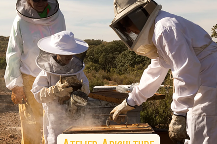 Envie d’approfondir vos connaissances en apiculture ?