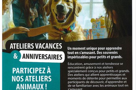 Fête ton anniversaire avec Une caresse, Un sourire
