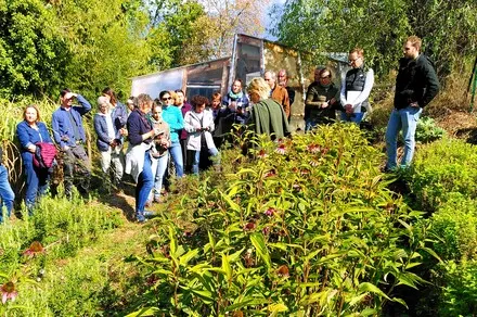 Visite accompagnée d’un jardin en permaculture