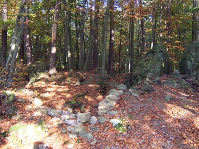 Circuit Le Bois des Roches