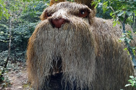 Le Tacot, voyage éphémère