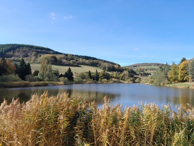 Lac du Ronzey