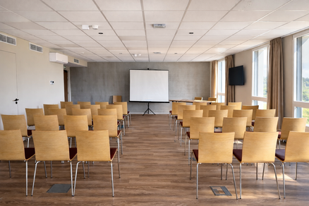 Salle de séminaire " Pollen "