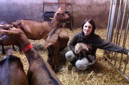 La ferme des Chardons