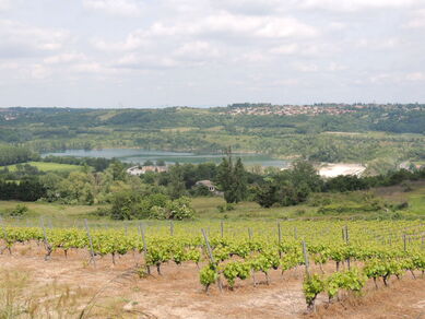 Circuit Les paysages de Montagny