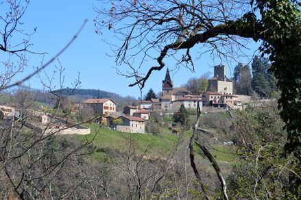 Sur le chemin du Couzon