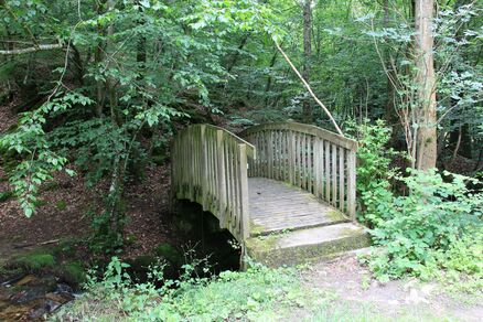 Sentier des bords de Coise