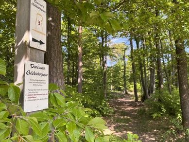 Balade commentée géo biologique et botanique