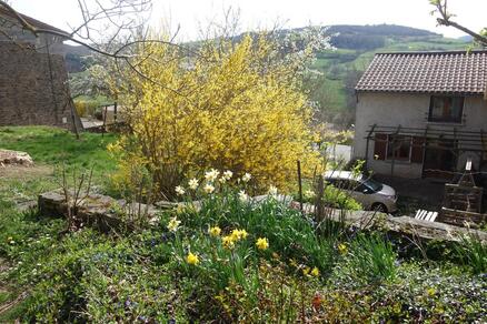 Les jardins de Montaland