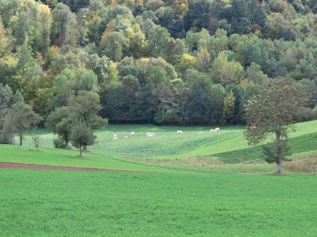 © Destination Monts du Lyonnais