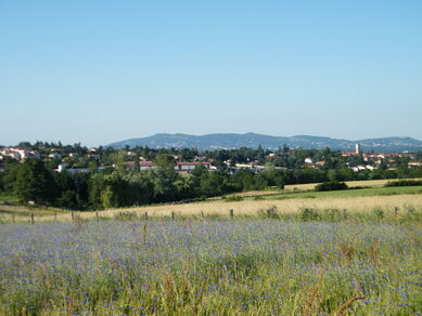 Vallée de l'Yzeron