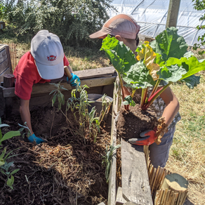 Animations jardin et cuisine durable