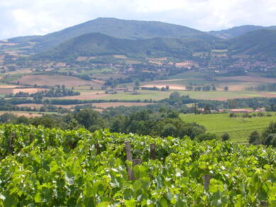 Panorama de la Madone du Châtelet