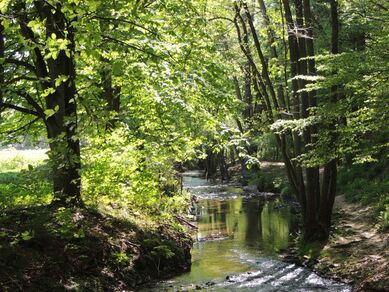 La Vallée en Barret