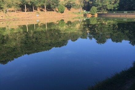 Bassin de la Falconnière