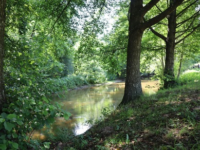 Pêche à Saint-Symphorien-sur-Coise