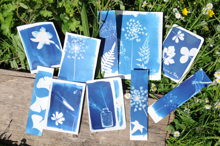 Atelier cyanotype, pour voir la vie en bleu