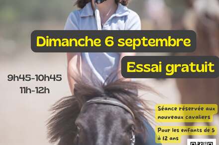 Séance découverte : poneys enfants
