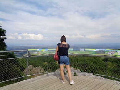 Panorama du Signal