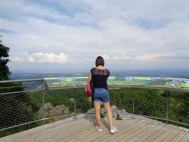 Panorama du Signal