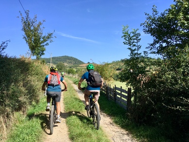 Circuit VTT 63 - Les Crêts Boisés