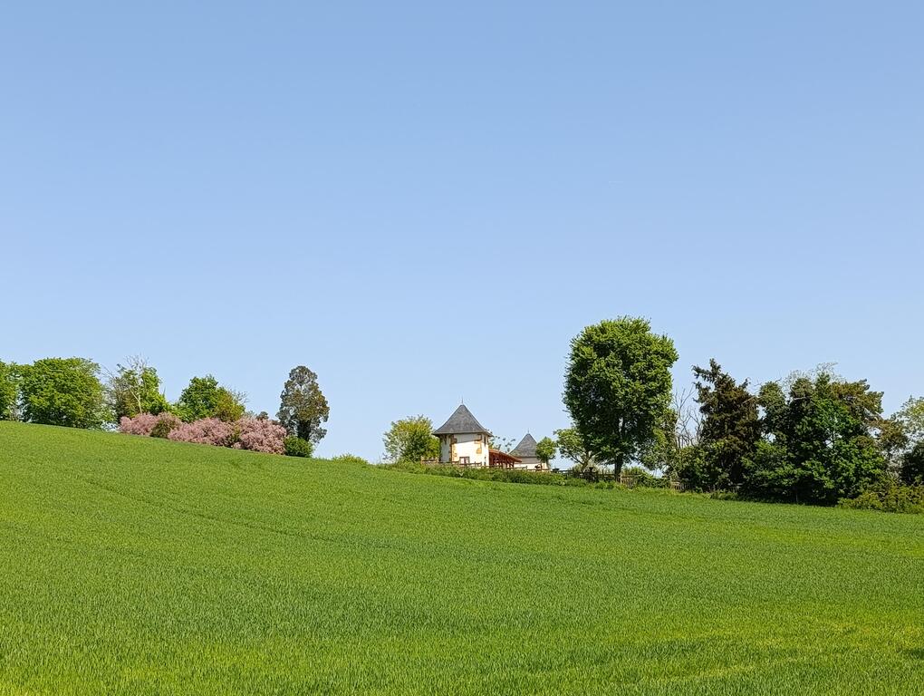 © Histoire et patrimoine fleurinois