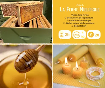 Visite de la ferme Mielifique & ateliers autour de l'apiculture