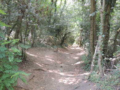 Circuit Gravel 202 bis - Les Lapins