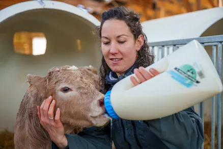 Les mystères du lait