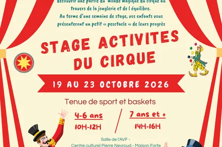 Stage de cirque