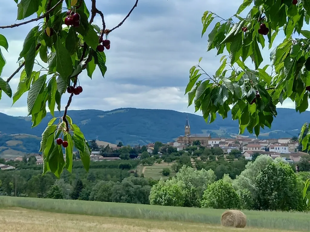 © Destination Monts du Lyonnais
