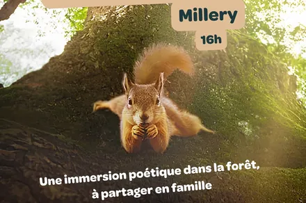 Ciné-goûter : Le chêne et ses habitants