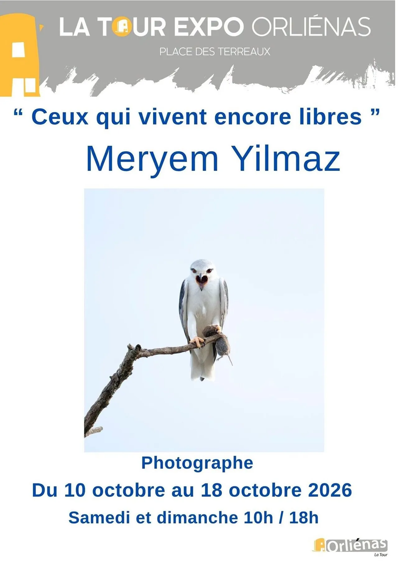 © LaTour_Orliénas