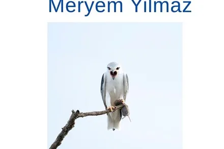 Exposition photographies Meryem Yilmaz