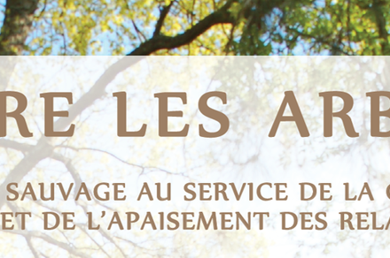 Entre les Arbres