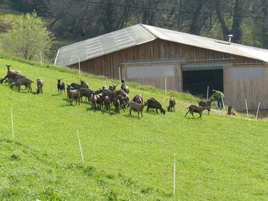 GAEC des Luzules