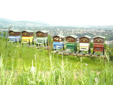 Le rucher de Macameli