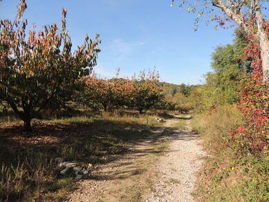 Le Garon en VTT - Circuit 241 "La Vallée du Garon"