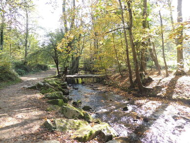 Circuit VTT 212 -La Vallée en Barret