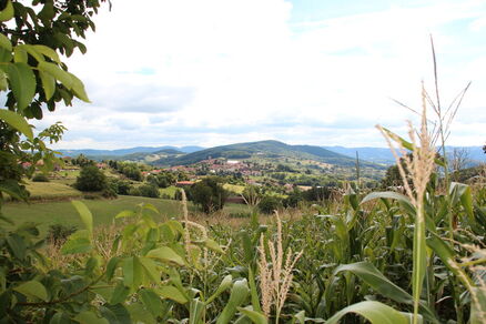 Circuit VTT n°108 bleu : Parfum d'Armont