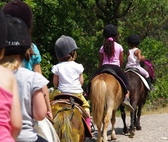 Balade à poney ou à cheval