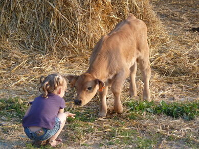 Fête ton anniversaire à la ferme des Bourettes