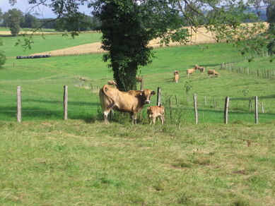 Visite pédagogique de la Ferme des Bourettes