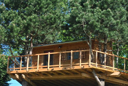 Cabane perchée : L'étournelle