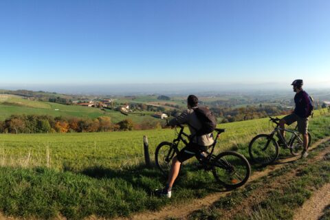 VTT